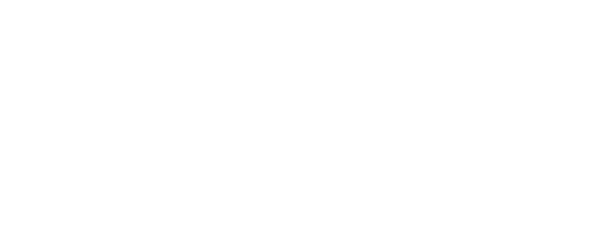 Cofapi-and-co-logo-blanc
